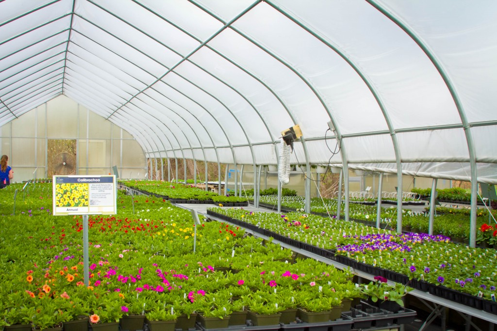 Uncategorized Greenhouses
