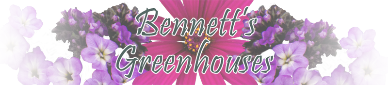 Bennett's Greenhouses
